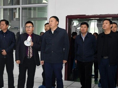 縣委書記等領導調(diào)研湖南米米夢工場科技股份有限公司